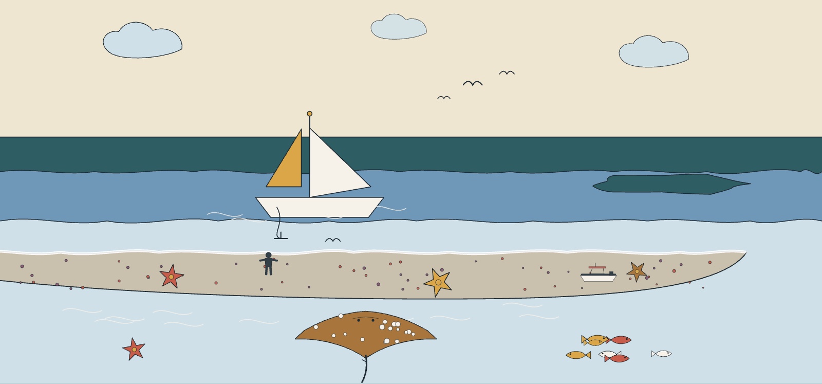 Illustration of a sailing yacht anchored off an exposed sandbar with starfish and a passing ray