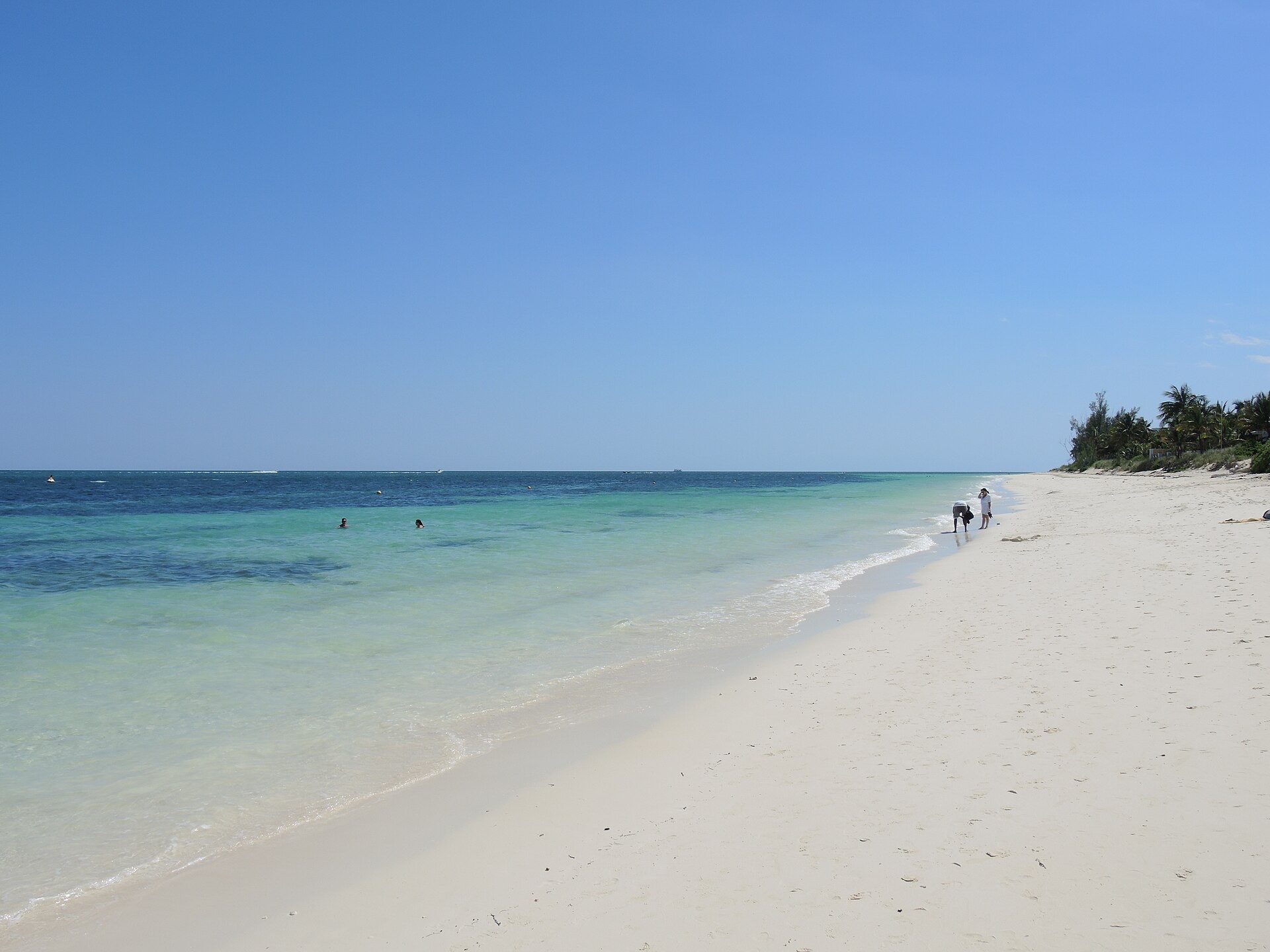 Lucaya Beach on Grand Bahama Island, with pale sand, palms and calm turquoise water